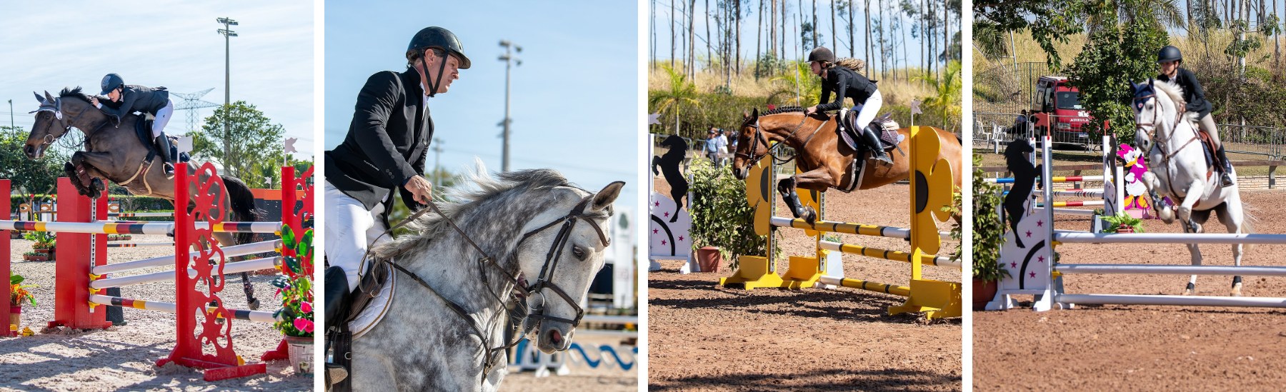Fotos de cavaleiros e cavalos no Campeonato Sul Americano de Cavalos Novos no Haras Cooper