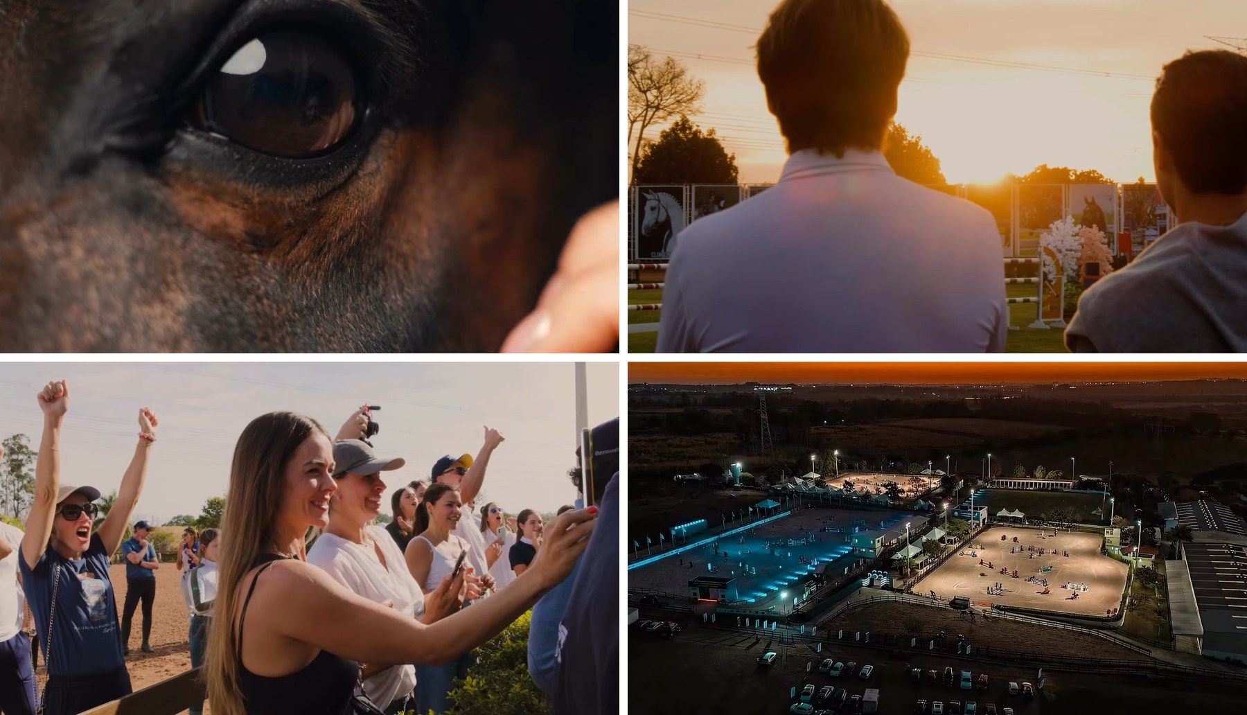 Cenas do vídeo do Campeonato Sul Americano de Cavalos Novos no Haras Cooper